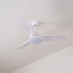 Wood-blade ceiling fan light mounted in a light-filled room
