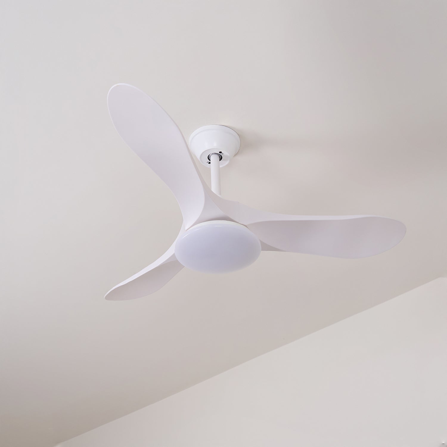 Wood-blade ceiling fan light mounted in a light-filled room