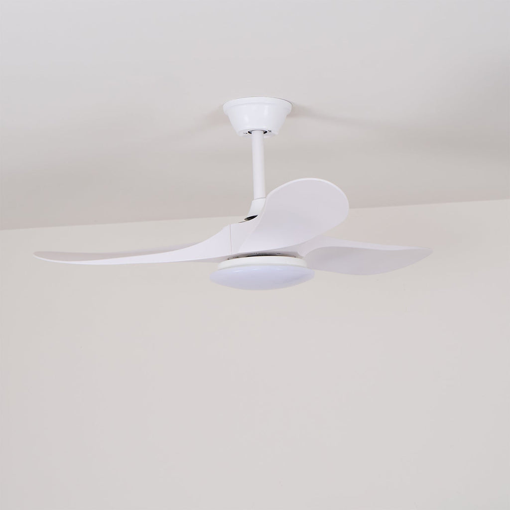 Ceiling fan light with natural wood blades and integrated LED