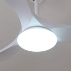 Wood-grain ceiling fan light detail showing blade and finish