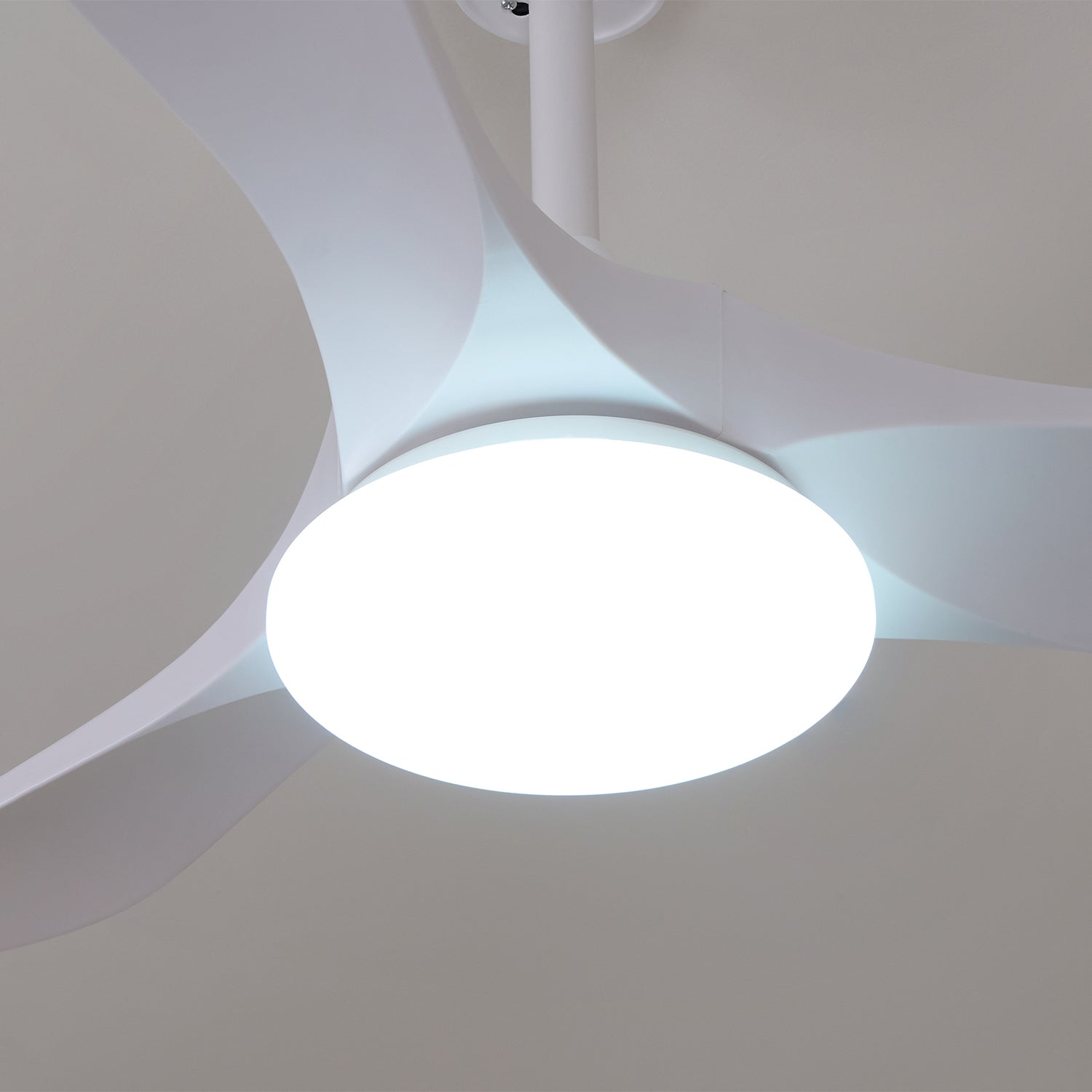 Wood-grain ceiling fan light detail showing blade and finish