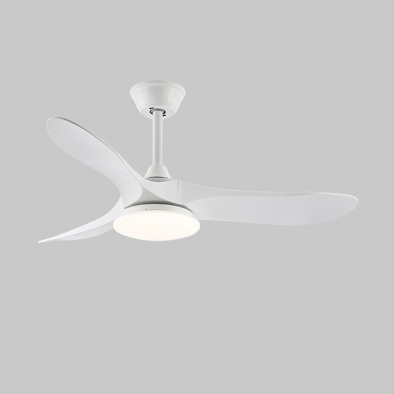 Wood-grain ceiling fan light mounted in a bright modern room