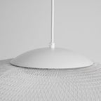 Pendant Light, Latticed Iron Mesh Shade, Black or White, Integrated LED