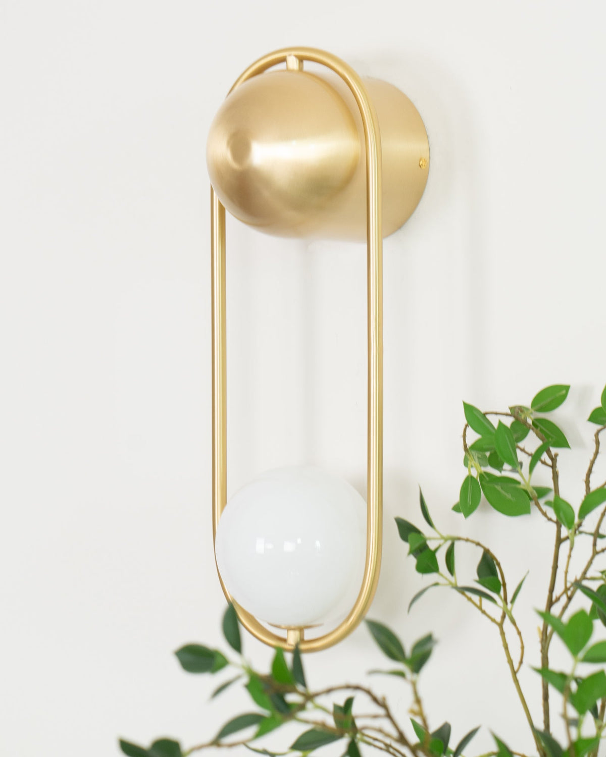 This brass Clérachic wall light on an off-white background beside trailing green leaves, its glass globe glowing softly.