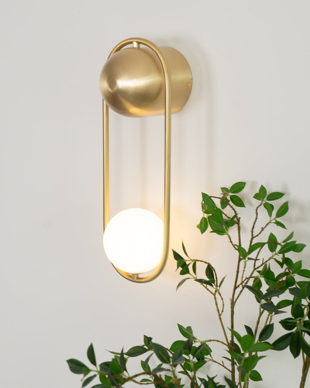 Close beside a leafy green plant, this brass Clérachic wall light glows warm against a plain wall.
