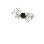 Radial LED Ceiling Light, Metal Rod Design, 24-Inch Fixture