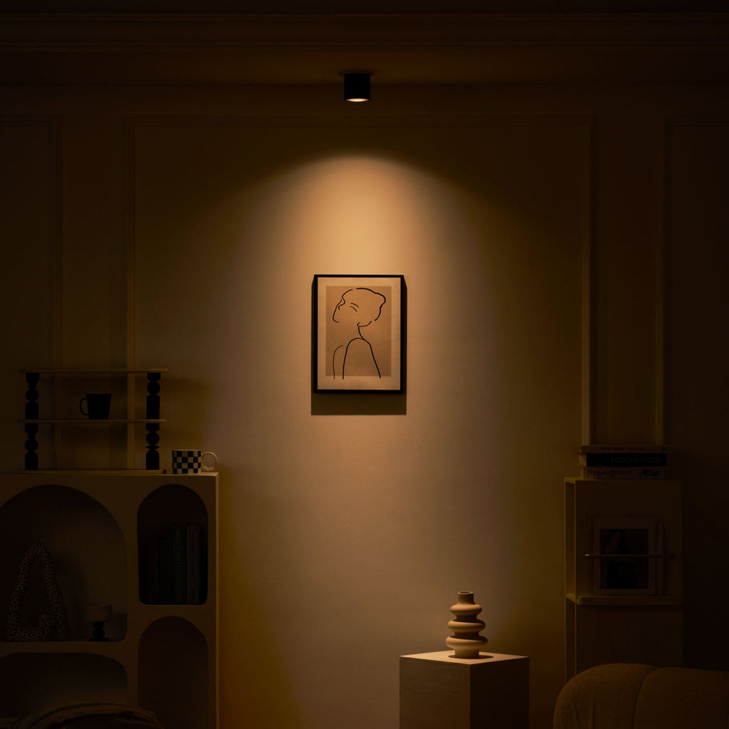 Modupoint ceiling light shown lit in a warm white tone in a styled interior