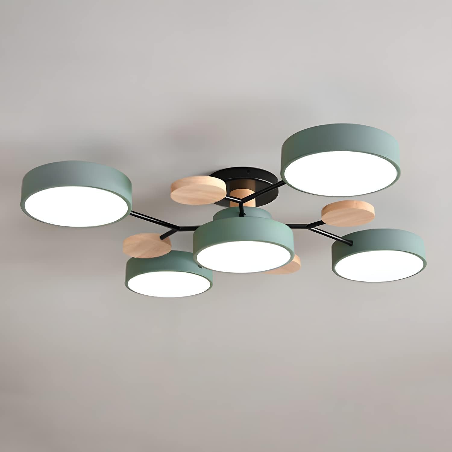 LED Ceiling Light With Multiple Arms And Circular Shades 24-Inch Fixture