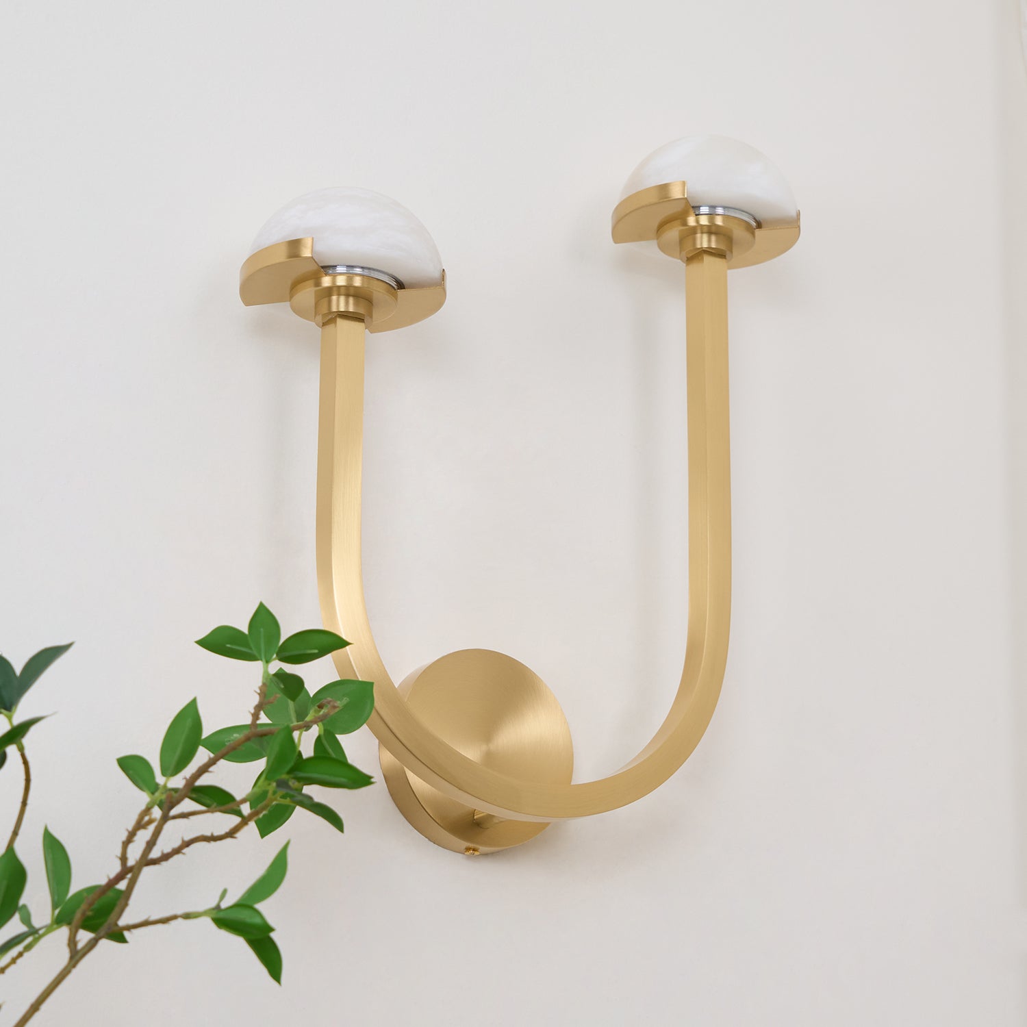 Brass Vitalira Double Alabaster Wall Light on a white wall, viewed from below with a plant in frame.