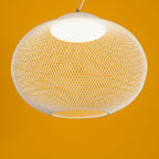 Pendant Light, Latticed Iron Mesh Shade, Black or White, Integrated LED
