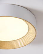 Flush mount ceiling light detail with smooth diffuser