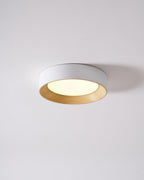 Ceiling light detail showing the wood-tone outer ring