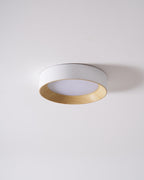 Round flush mount light with slim wood-tone profile