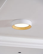 Ceiling light with even glare-free light across the room