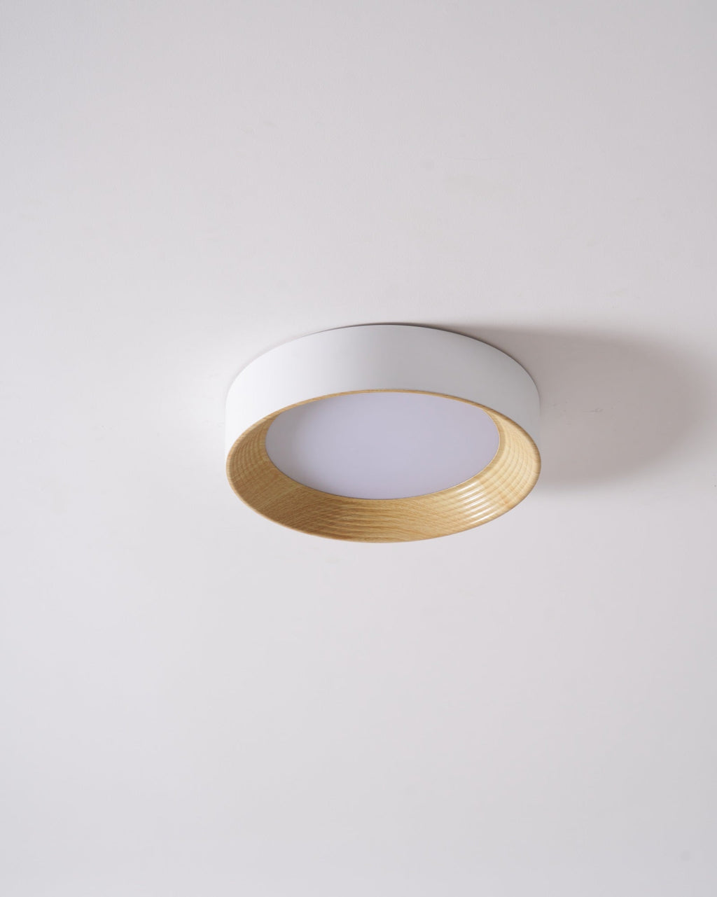 Round ceiling light shown in a hallway setting