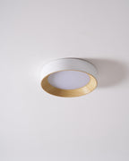Round ceiling light shown in a hallway setting
