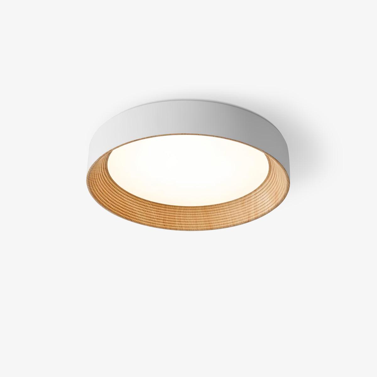Round acrylic ceiling light mounted on a flat ceiling