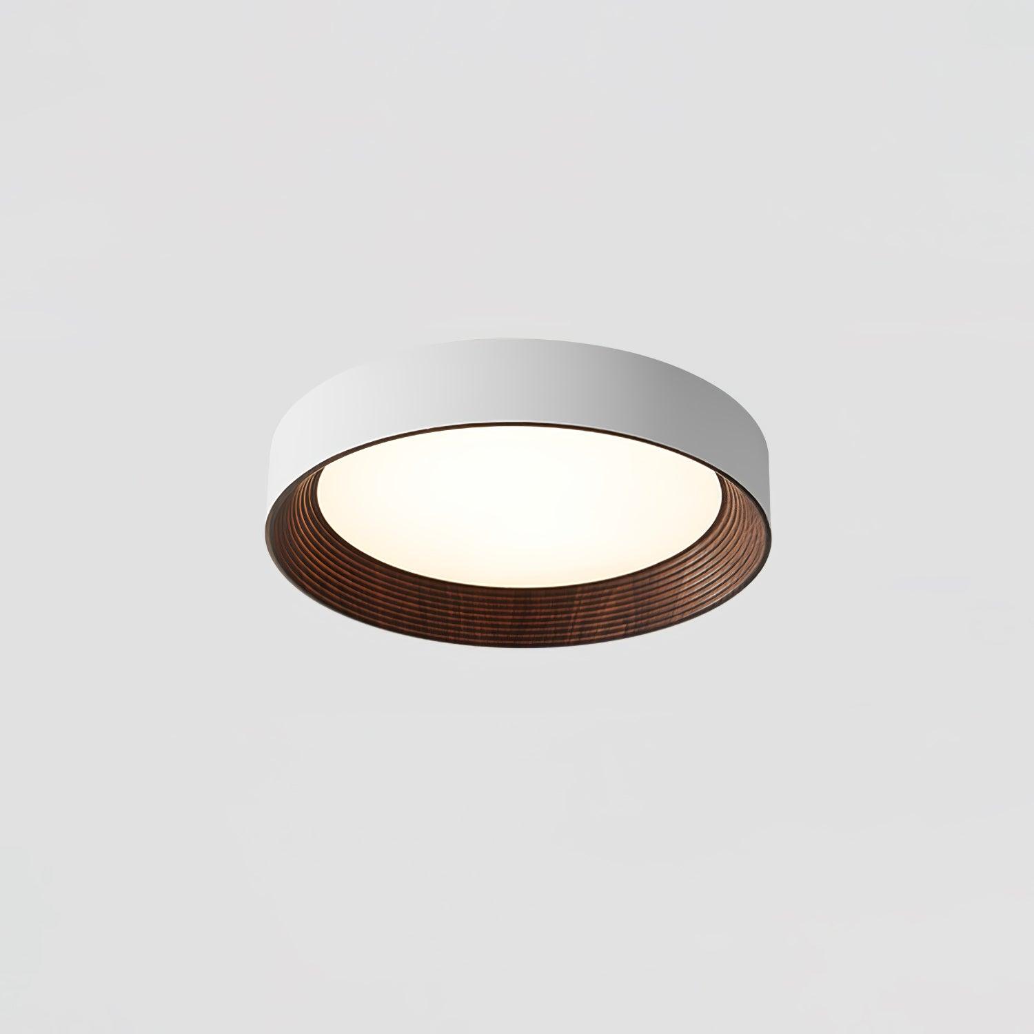 Flush mount ceiling light with acrylic diffuser lit on