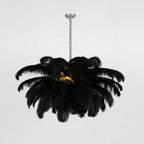 Ostrich feather chandelier shown from below with radiating plumes