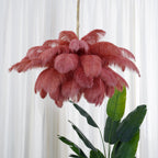Chandelier, Ostrich Feather Shade, Brass Base, 6x G9, 110 cm