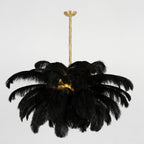 Chandelier, Ostrich Feather Shade, Brass Base, 6x G9, 110 cm