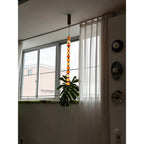 The full drop of this Clérachic pendant hangs beside a window, a monstera leaf below and wall discs above.