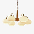 Photographed against white, this Clérachic chandelier's six cream glass shades sit on scrolled brass arms.