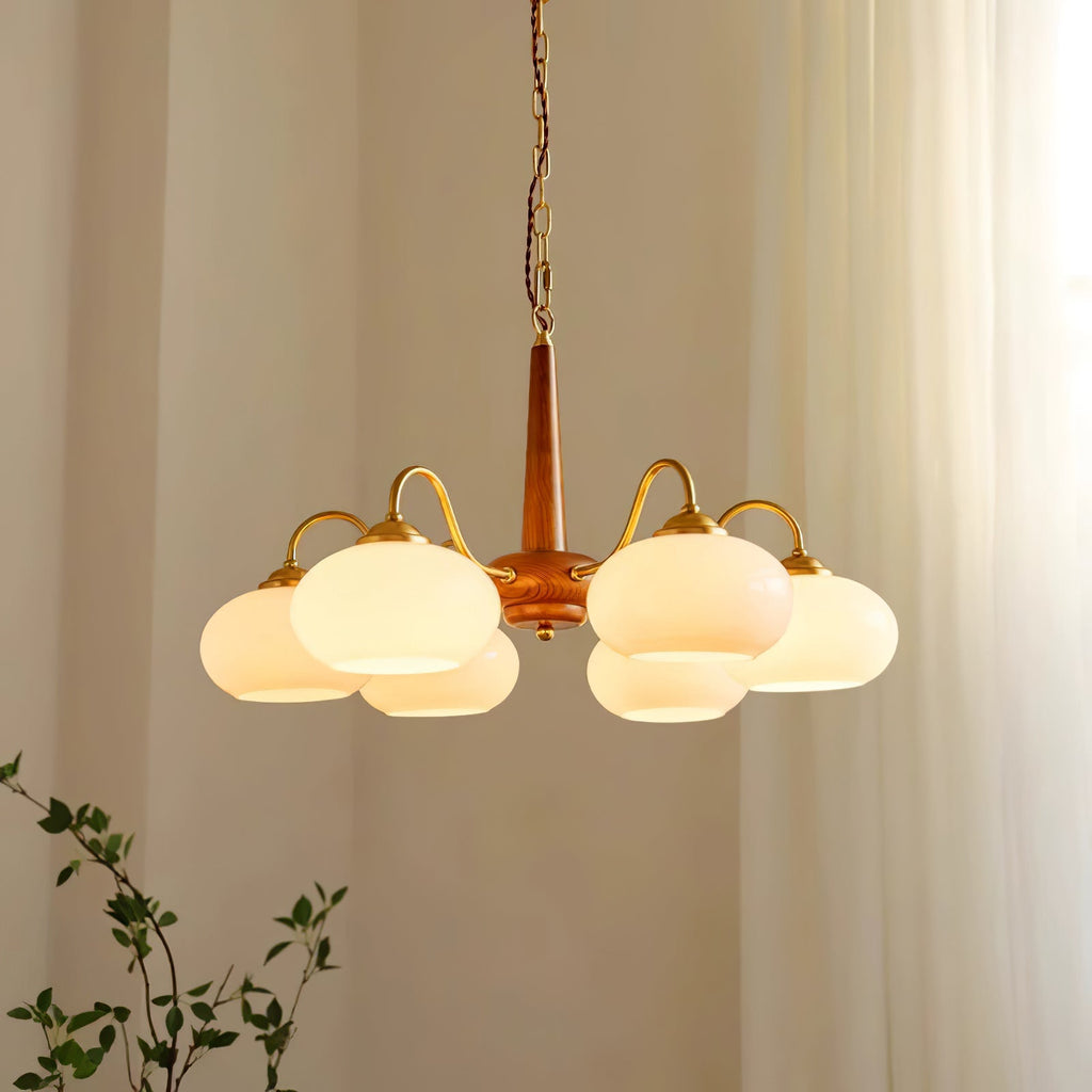Trailing plant leaves sit in front of this Clérachic chandelier, hung near a sunlit curtain.