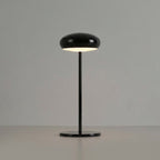 Rechargeable Table Lamp With LED USB Charging 15 Inches Tall