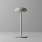 Rechargeable Table Lamp With LED USB Charging 15 Inches Tall