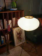 Floor Lamp, Akari Rice Paper Shade, E26/E27, Plug-In, Sculptural
