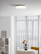 Ceiling Light, Frosted Sand Glass Shade, Integrated LED, Gold Trim