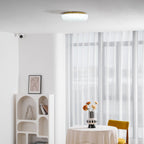 Ceiling Light, Frosted Sand Glass Shade, Integrated LED, Gold Trim