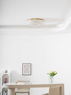Ceiling Light, Frosted Sand Glass Shade, Integrated LED, Gold Trim