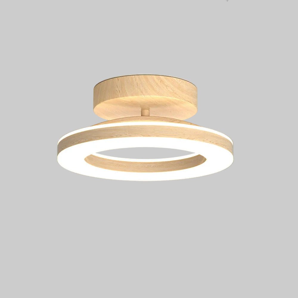 12 Inch Round Light Fixture LED Ceiling, Modern Design Style