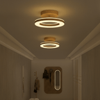 12 Inch Round Light Fixture LED Ceiling, Modern Design Style