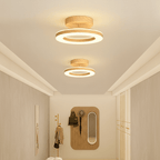 12 Inch Round Light Fixture LED Ceiling, Modern Design Style