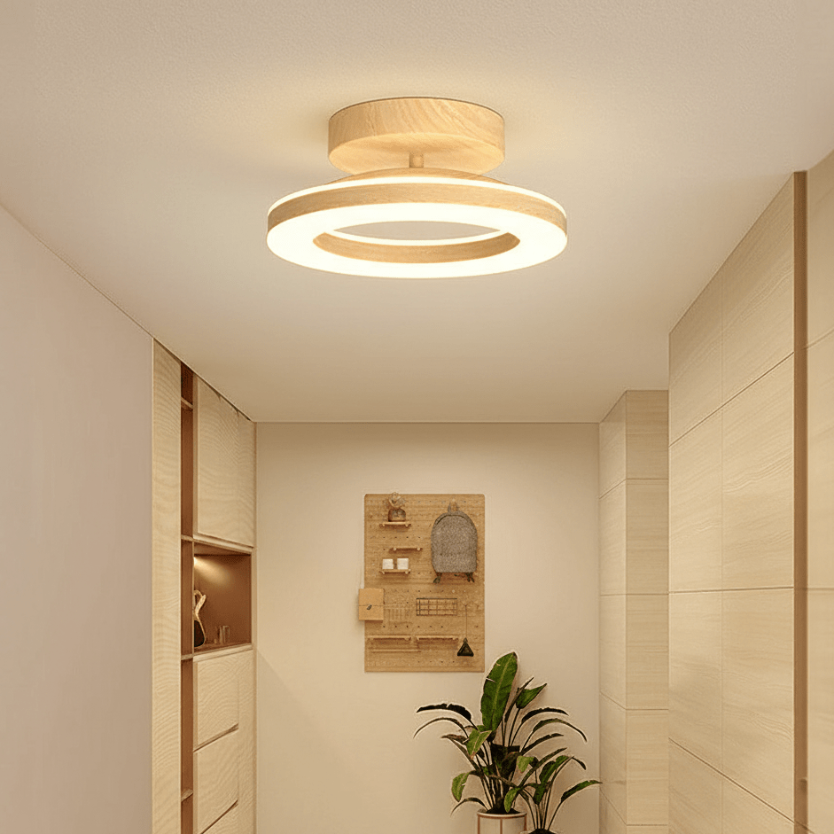 12 Inch Round Light Fixture LED Ceiling, Modern Design Style