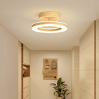 12 Inch Round Light Fixture LED Ceiling, Modern Design Style