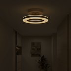 12 Inch Round Light Fixture LED Ceiling, Modern Design Style
