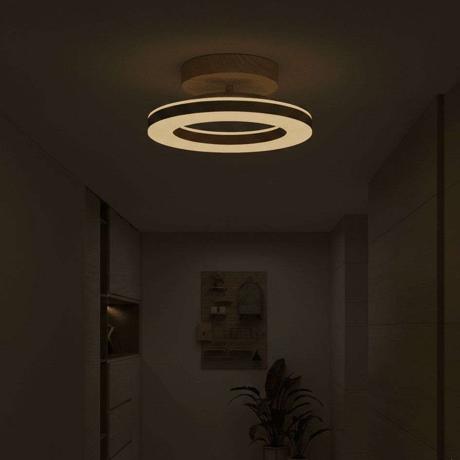 12 Inch Round Light Fixture LED Ceiling, Modern Design Style