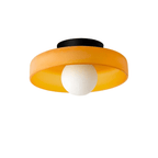 Circular Ceiling Light Glass Shade And 12-Inch Flush Mount