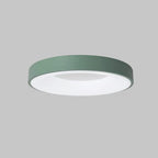 Circular Flush Mount Ceiling Light With Diffuser, 12 Inch Diameter