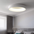Circular Flush Mount Ceiling Light With Diffuser, 12 Inch Diameter