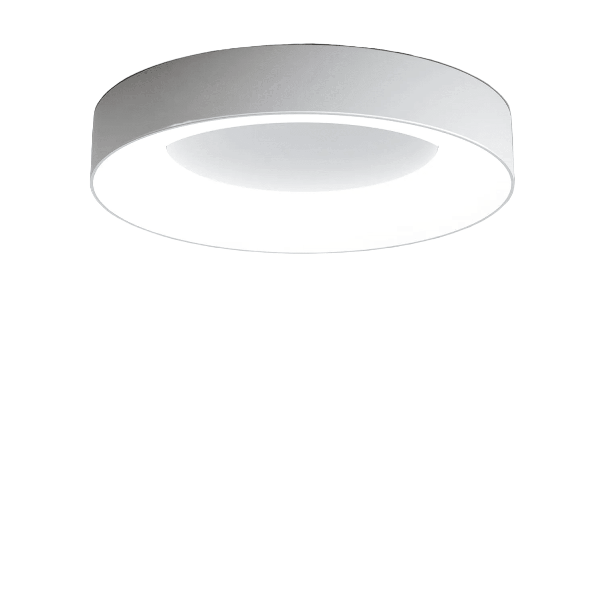 Circular Flush Mount Ceiling Light With Diffuser, 12 Inch Diameter