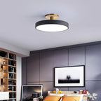 Metal Frame Round Ceiling Light, 12-Inch Diameter Flush Mount