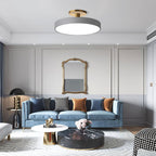 Metal Frame Round Ceiling Light, 12-Inch Diameter Flush Mount