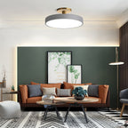 Metal Frame Round Ceiling Light, 12-Inch Diameter Flush Mount