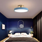 Metal Frame Round Ceiling Light, 12-Inch Diameter Flush Mount