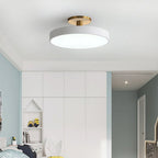 Metal Frame Round Ceiling Light, 12-Inch Diameter Flush Mount